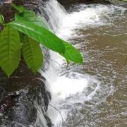 8be96ddd 897b 4d04 8ee6 a5b90e2a1542